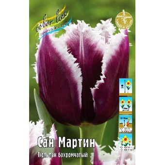 Тюльпан Сан Мартин 1шт (КолЛайн) 5шт/уп