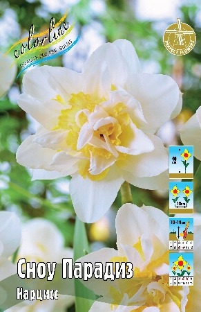 Нарцисс Сноу Парадиз 12/14 1шт (КолЛайн) 5шт/уп