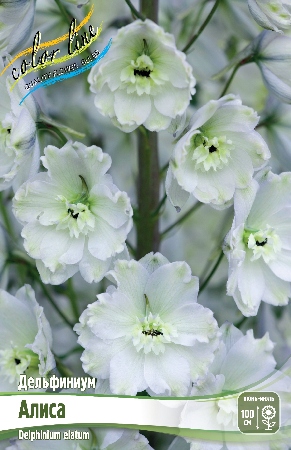 Дельфиниум Алиса 1шт (КолЛайн) 