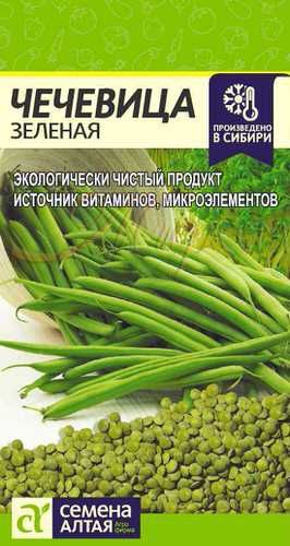 Чечевица Зеленая 5г ц/п (СемАлт)