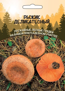 Мицелий грибов Рыжик Деликатесный 15г ц/п б/ф ССПК Новинка!