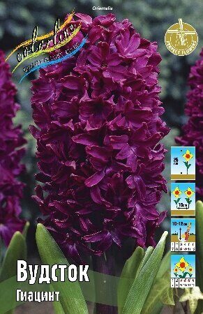 Гиацинт Вудсток 14/15 1шт (КолЛайн) 3шт/уп темно-бордовый