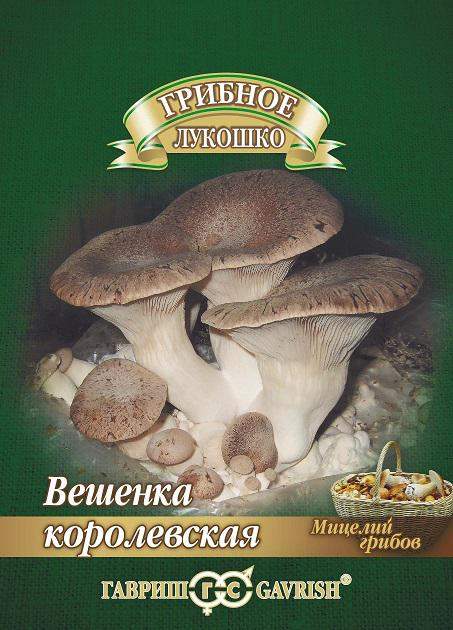 Мицелий грибов Вешенка Королевская на древ.палочке 12шт (Гавриш)