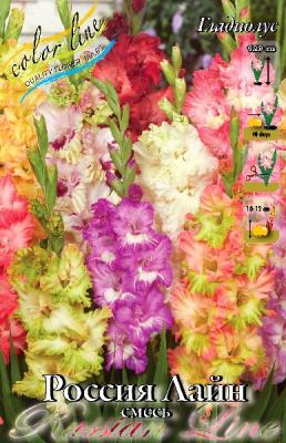 Гладиолус Россия ЛАЙН смесь 12/14 1шт (КолЛайн) 7шт/уп