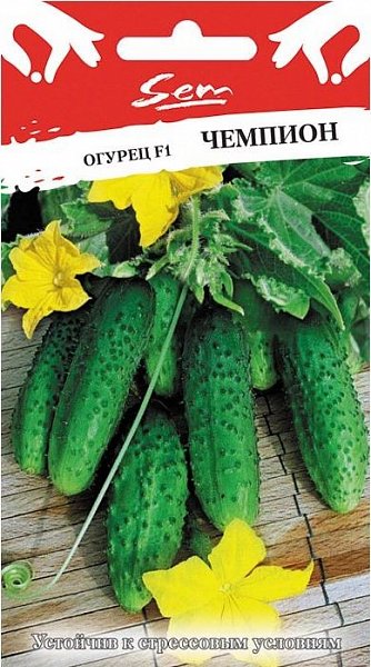 Огурец Чемпион F1 10шт ц/п (НК)
