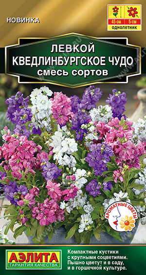 Левкой Кведлинбургское чудо, смесь 0,1г ц/п (Аэлита) Новинка