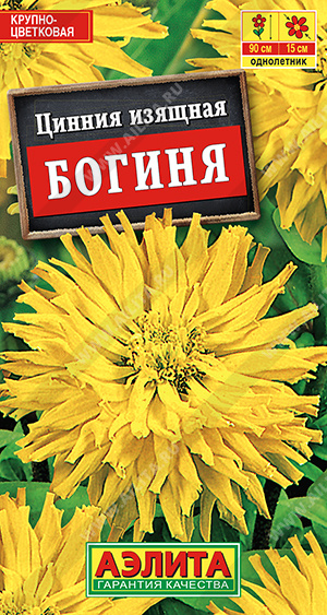 Цинния Богиня 0,3г ц/п (Аэлита) кактусовидная