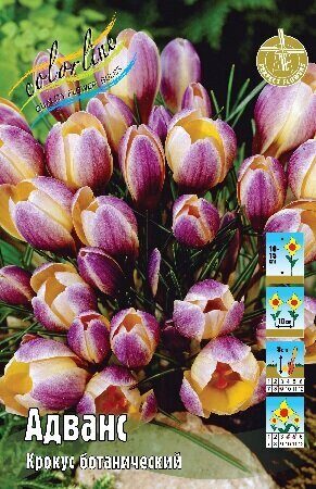 Крокус Адванс 5/+ 1шт (КолЛайн) 5шт/уп