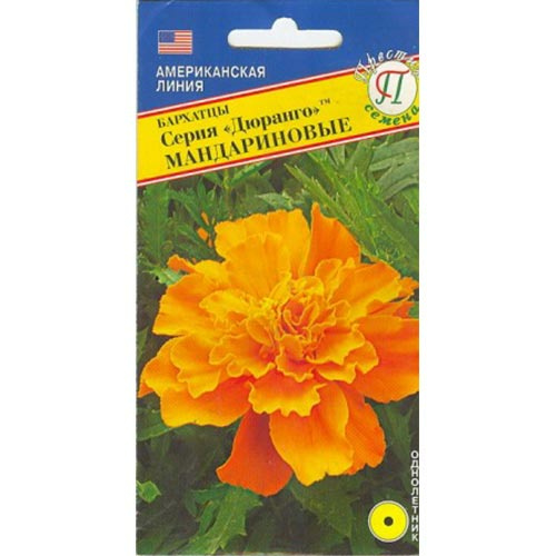 Бархатцы Дюранго Мандариновые 10шт (Престиж) 30см
