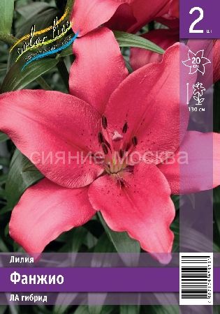 Лилия Фанжио 12/14 1шт (КолЛайн) 2шт/уп