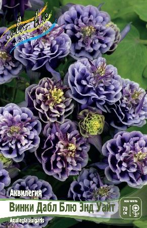 Аквилегия Винки Дабл Блю Энд Уайт 1шт (КолЛайн) 2шт/уп