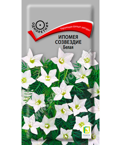 Ипомея Созвездие Белая 0,3г ц/п (Поиск)