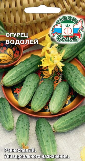 Огурец Водолей 0,5г ц/п (Седек)