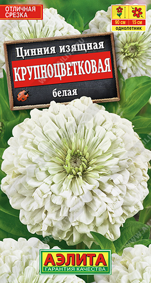 Цинния Крупноцветковая Белая 0,3г ц/п *(Аэлита) 90см