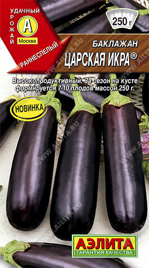 Баклажан Царская икра 0,1г ц/п (Аэлита)