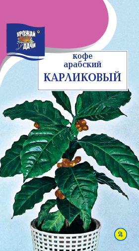 Кофе арабский Карликовый 0,5г ц/п (УУ)