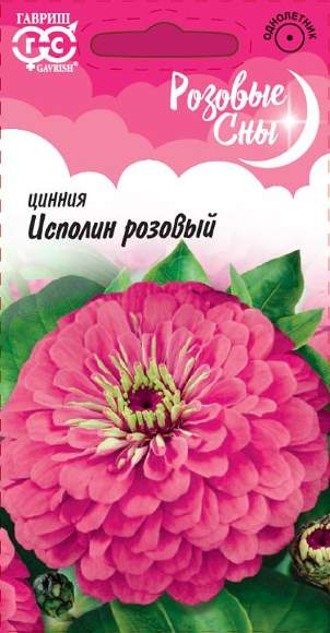 Цинния Исполин розовый 0,3г ц/п (Гавриш) крупноцв,90см,георгинов.
