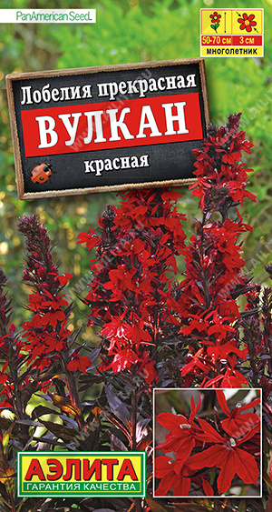 Лобелия Вулкан красная ц/п (Аэлита)