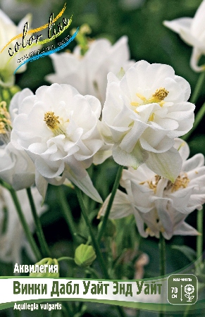 Аквилегия Винки Дабл Уайт Энд Уайт 1шт (КолЛайн) 2шт/уп
