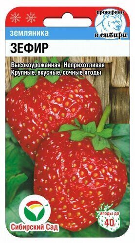Земляника Зефир 10шт (СибСад)