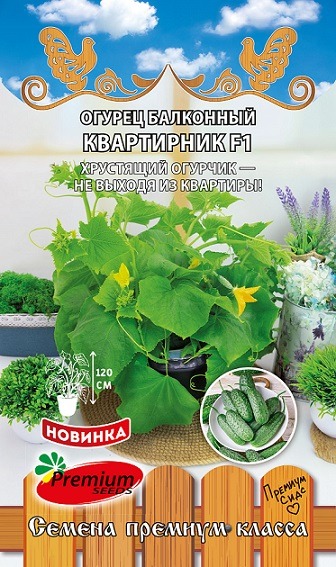 Огурец Квартирник F1 5шт ц/п (ПрСидс)