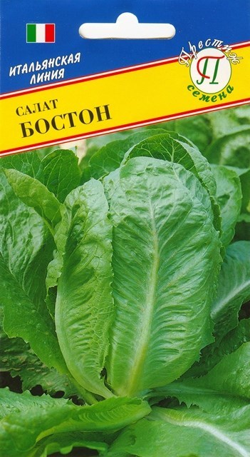 Салат Бостон 0,5г (Престиж) с/ранний, кочанный, зеленый