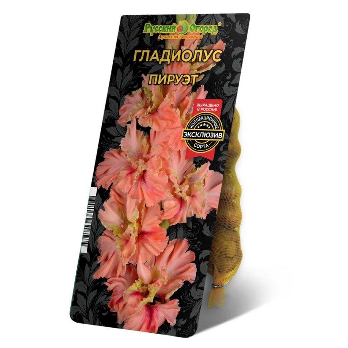 Гладиолус Пируэт 10/12 1шт (НК) 5шт/уп