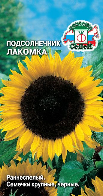 Подсолнечник Лакомка 5г ц/п (Седек)