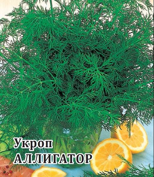 Укроп Аллигатор 25г (Гавриш)