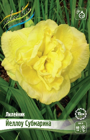 Лилейник Йеллоу Субмарина 1шт (КолЛайн)