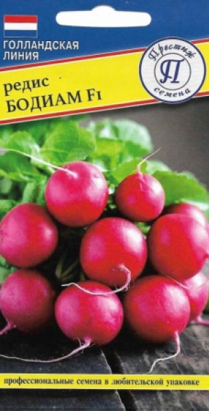 Редис Бодиам F1 0,5г (Престиж) 