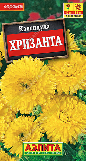Календула Хризанта 0,5г ц/п (Аэлита)