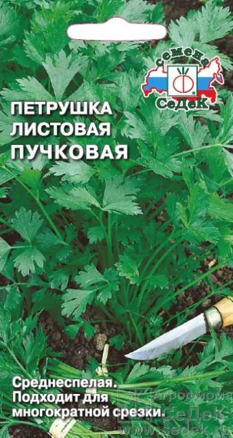 Петрушка листовая Пучковая 2г ц/п (Седек)