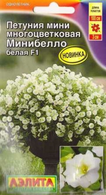 Петуния Минибелло F1 Белая 5шт ц/п (Аэлита)