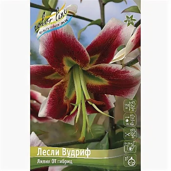 Лилия Лесли Вудриф 12/14 1шт (КолЛайн) 5шт/уп