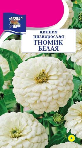 Цинния Гномик белая 0,1г ц/п (УУ)