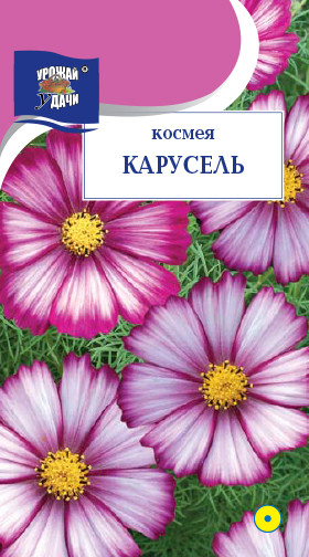 Космея Дварф сенсейшн микс 0,15г ц/п (УД)