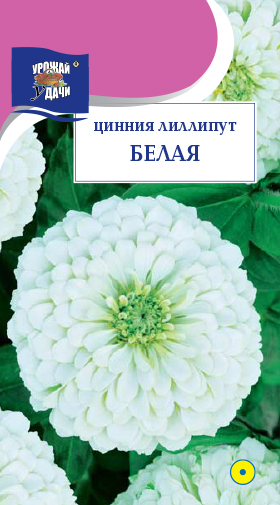 Цинния Лиллипут Белая 0,3г ц/п (УУ)