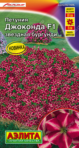 Петуния Джоконда Звездная Бургунди F1 ц/п (Аэлита)