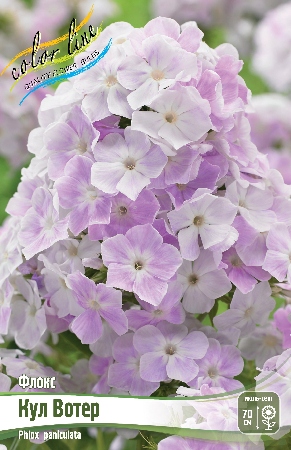 Флокс Кул Вотер 1шт (КолЛайн) 2шт/уп