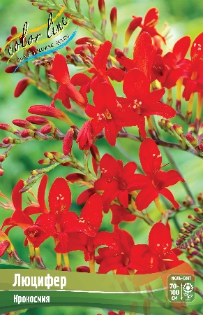 Крокосмия Люцифер 1шт (КолЛайн) 3шт/уп
