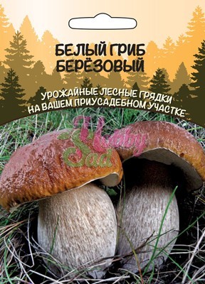 Мицелий Белый гриб Березовый 30мл ц/п б/ф (ССПК) (УД) Новинка!!!
