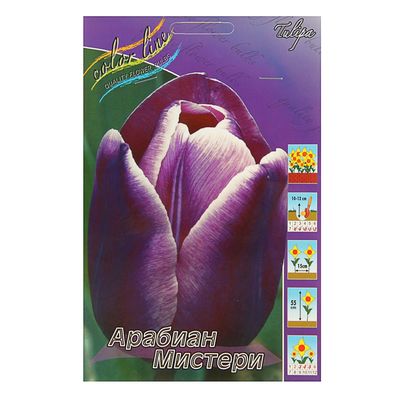 Тюльпан Арабиан Мистери 11/12 1шт (Садовита) 10шт/уп