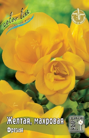 Фрезия Желтая махровая 1шт (КолЛайн) 10шт/уп
