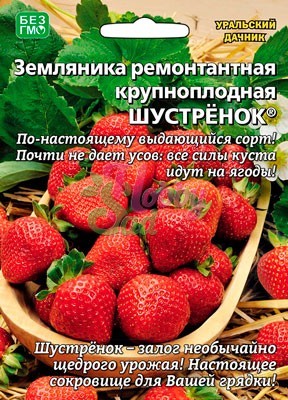 Земляника Шустренок 10шт ц/п б/ф (УД) ремонтантная