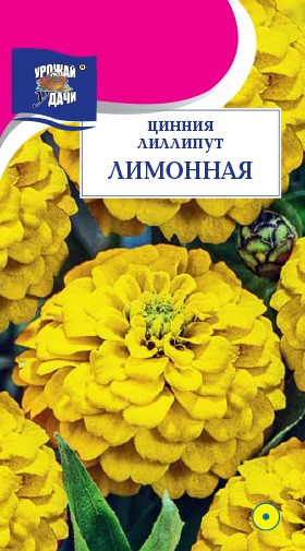 Цинния Лиллипут Лимонная 0,3г ц/п (УУ)