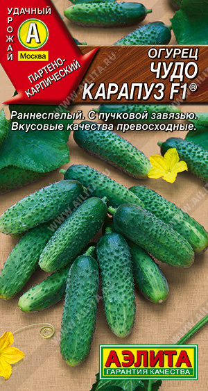 Огурец Чудо Карапуз F1 10шт ц/п (Аэлита)