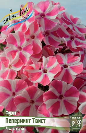Флокс Пеперминт Твист 1шт (КолЛайн) 2шт/уп