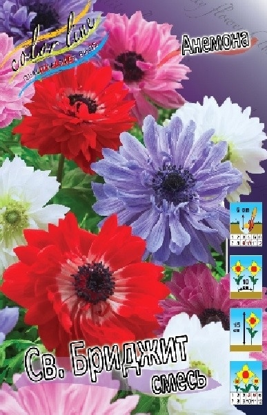 Анемона Св.Бриджит, смесь 5/6 1шт (КолЛайн) 5шт/уп