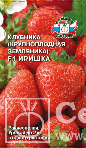 Земляника Иришка F1 0,09 г ц/п (Седек)
